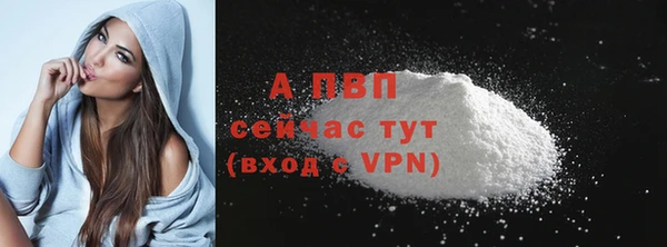 шишки Беломорск