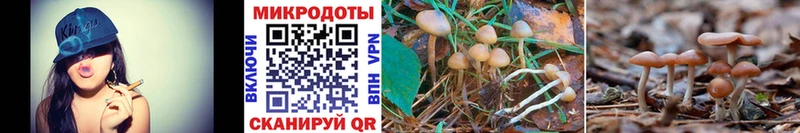 Псилоцибиновые грибы Magic Shrooms Благодарный